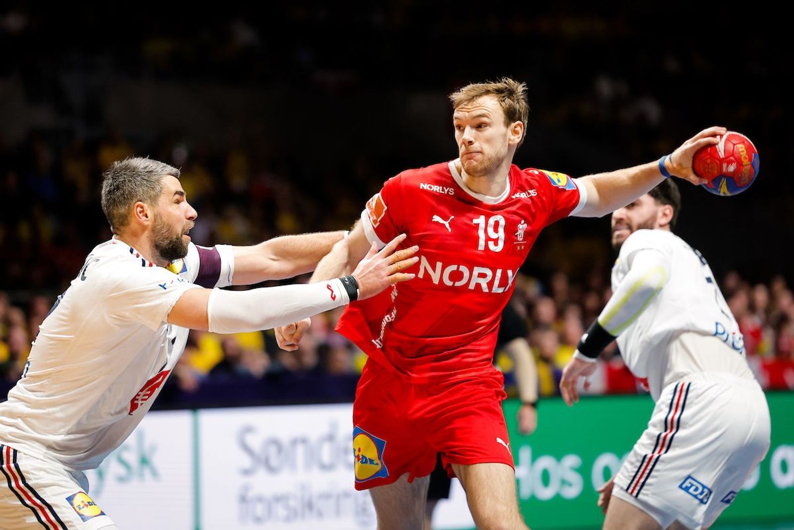 Drei Füchse kehren als Weltmeister zurück