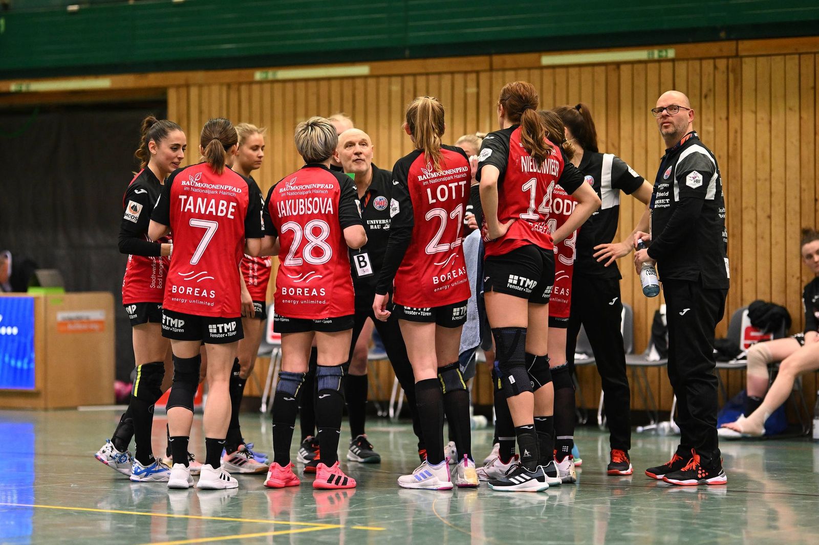 Gegen die “Tussies” THC-Charakter und Stärke demonstrieren