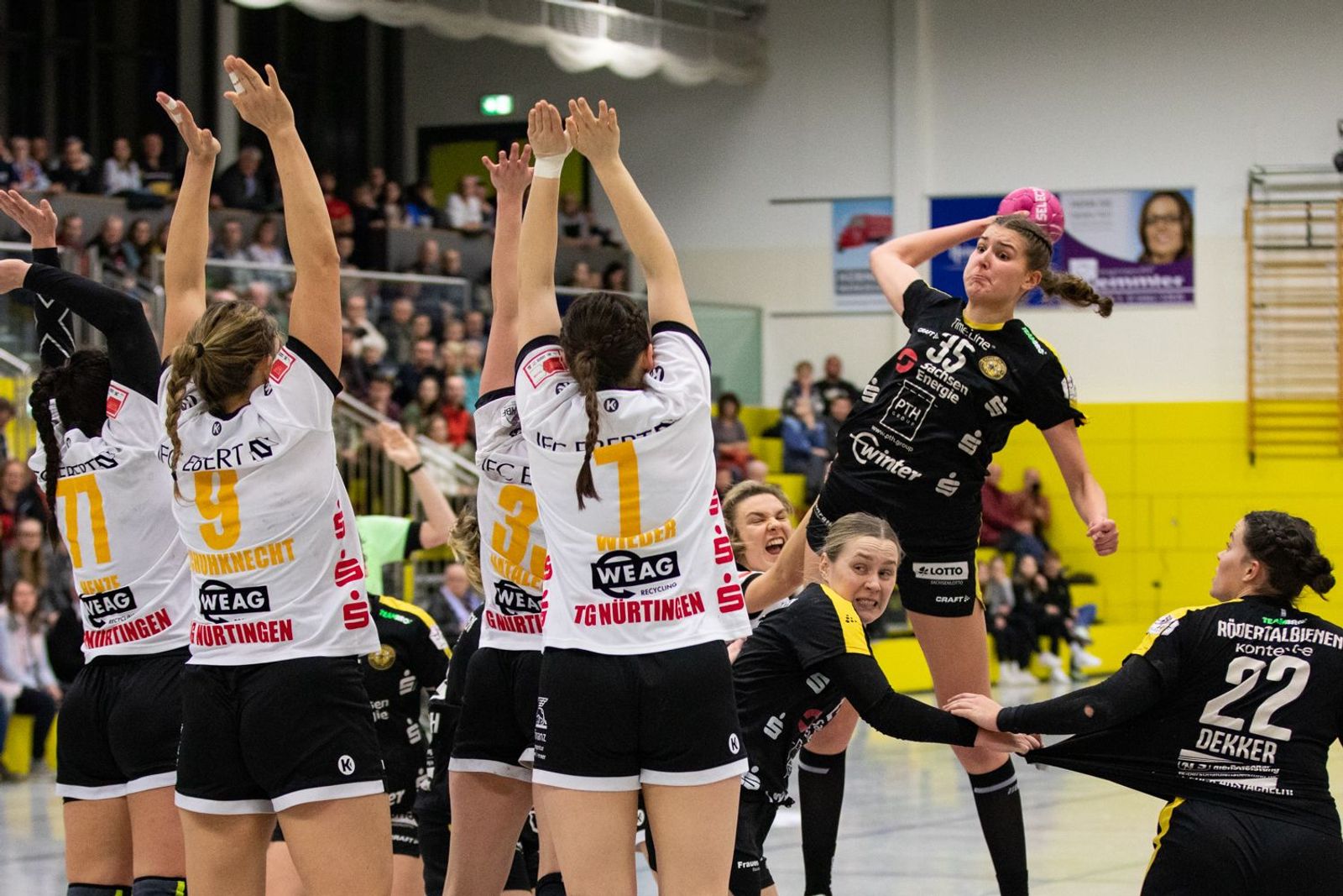 Bienen wollen zurück in die Spur