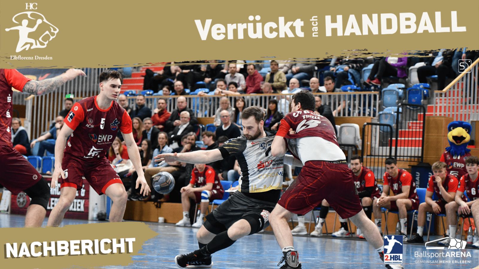 HC Elbflorenz verliert in Potsdam – VfL-Toptorschütze Max Benecke überragt