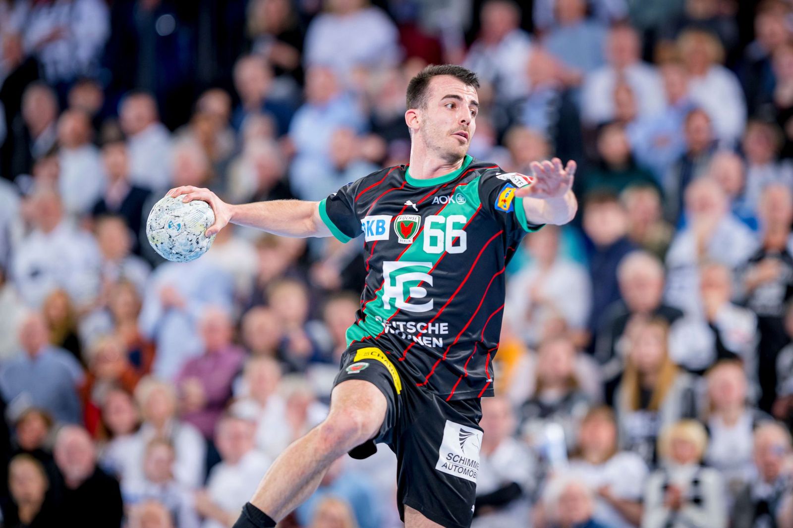 Über Schaffhausen nach Flensburg