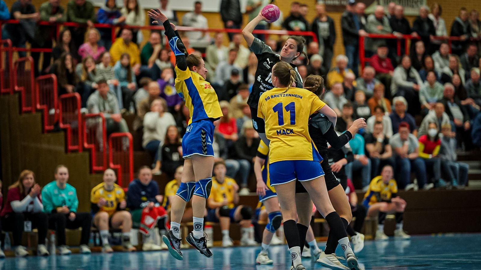 KURPFALZ BÄREN können weiter auf Spielmacher-Trio bauen