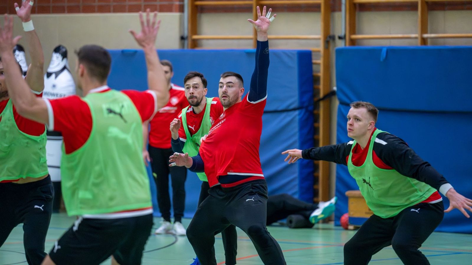 DHB-Team probt EM-Ernstfall - Golla und Co. heiß auf "Handball total"