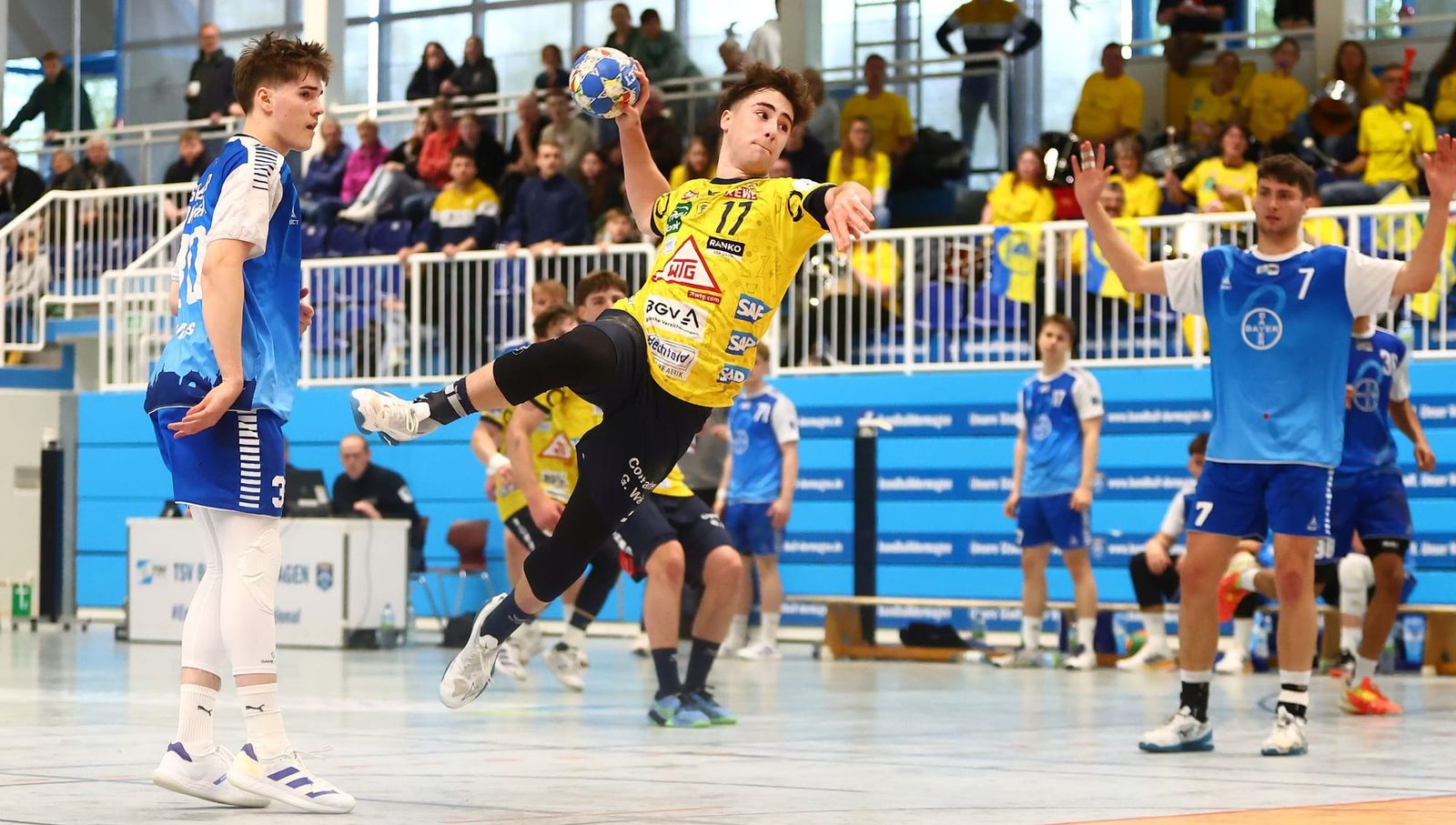 Wie schlagen sich Löwen und Füchse gegen Herausforderer?