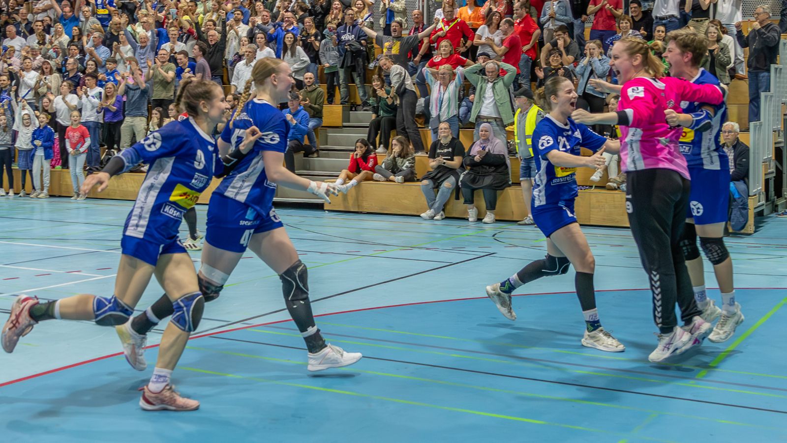 Dolphins und Mainz-Bretzenheim holen die ersten Punkte