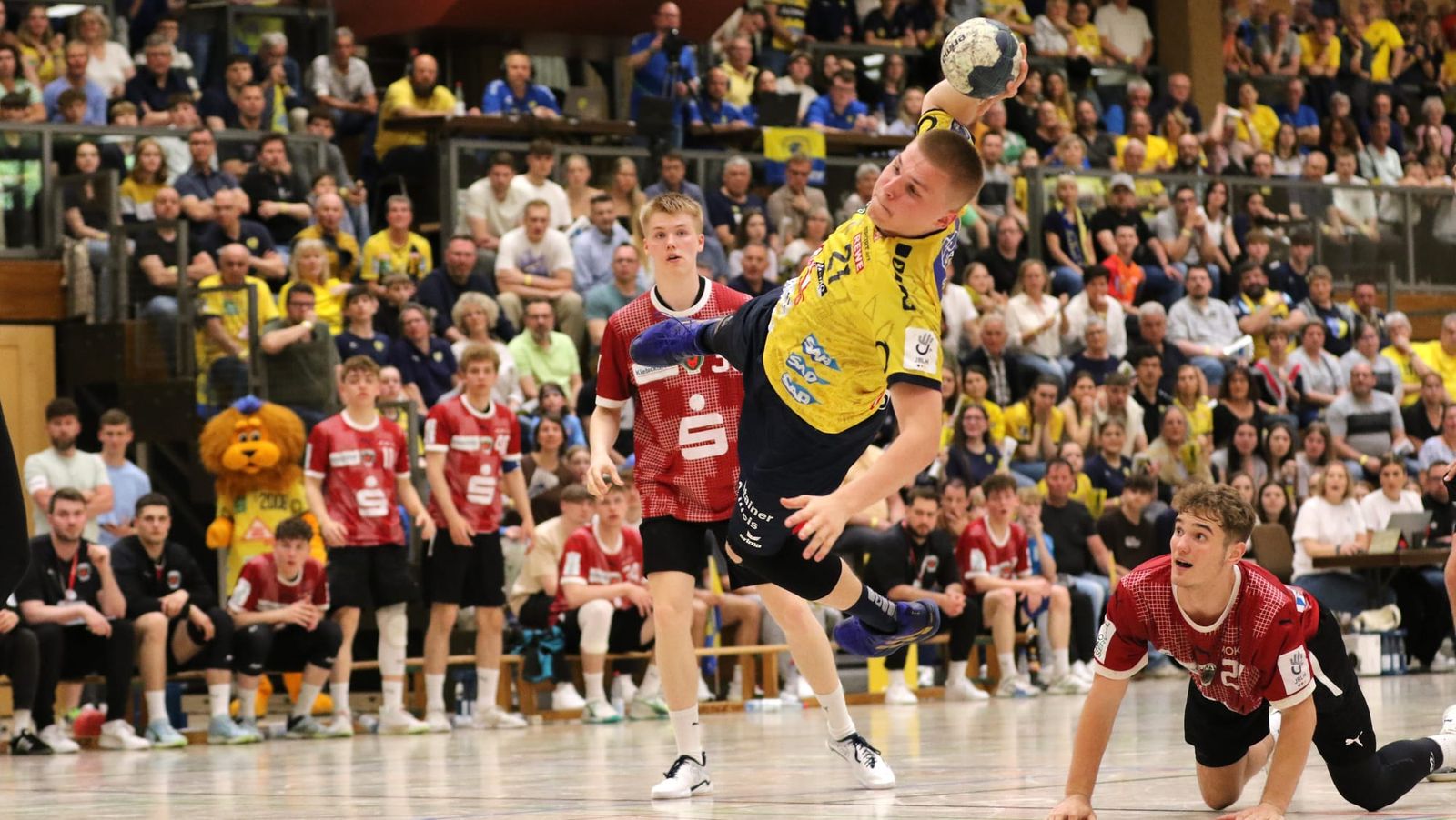 Alles offen: Löwen und Füchse kämpfen um die Krone