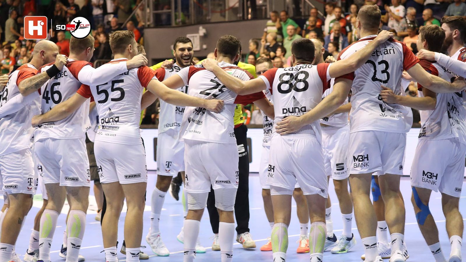 Klare Ziele: Telekom Veszprem im Fokus