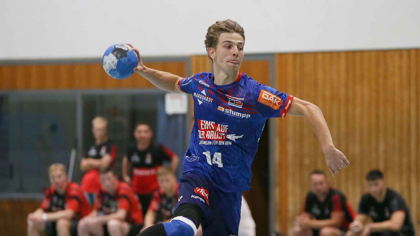 Aufsteigerduell zwischen Plauen und Baden-Baden