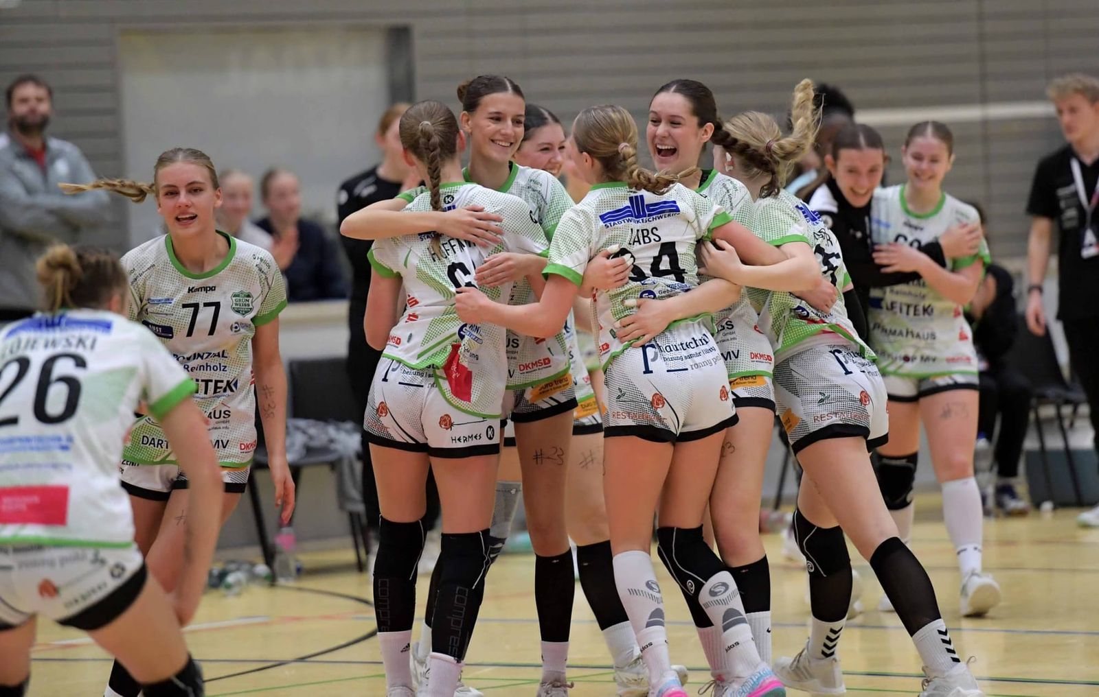 Mental überragend: Schwerin gewinnt das Spitzenspiel