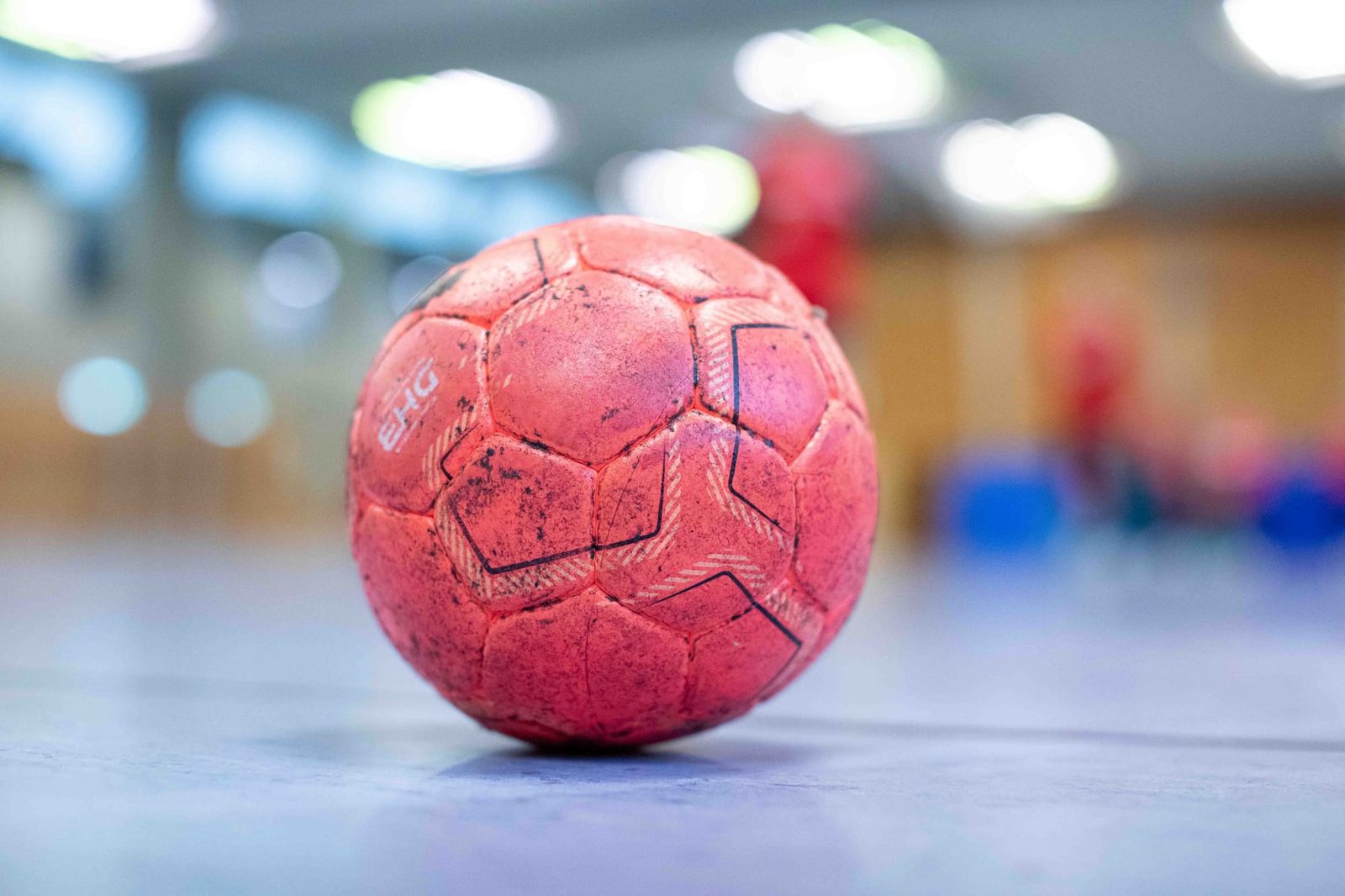 Trainerfortbildungen 2025 – Jetzt anmelden!