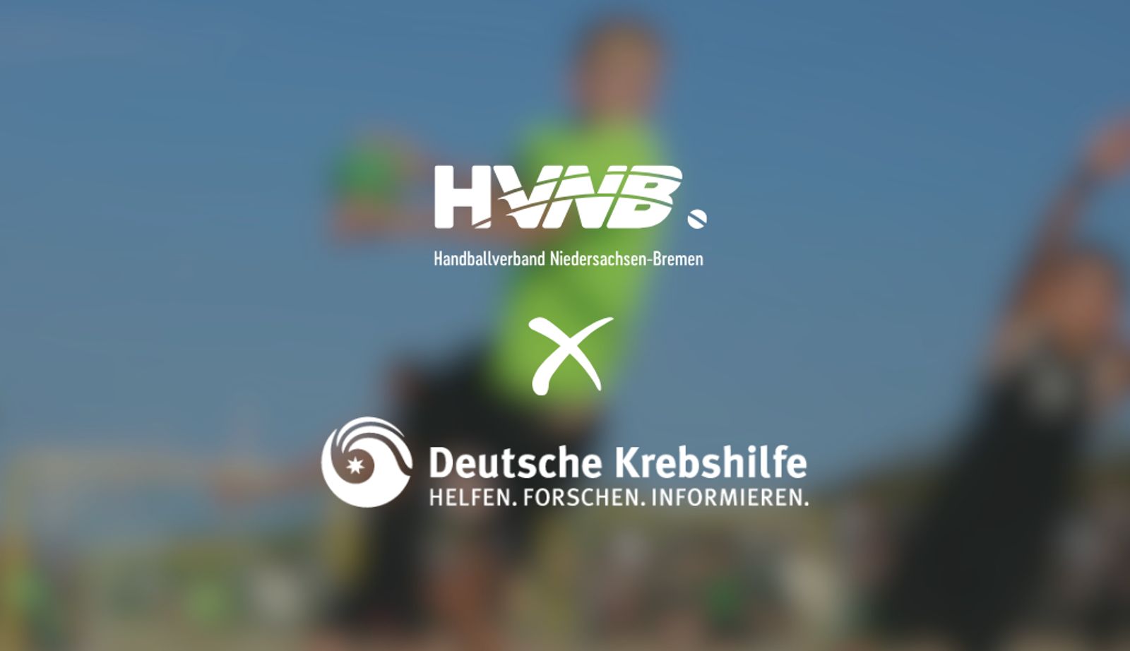 Mit Köpfchen in die Sonne