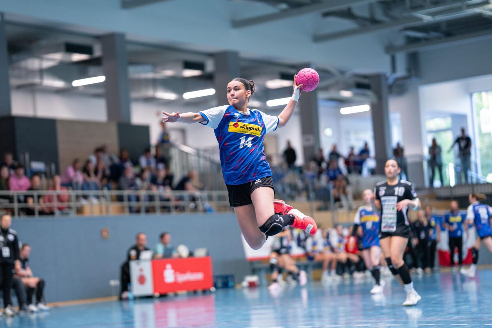 Der Handballverband Westfalen startet in die Saison 2025/26 – das musst du wissen!